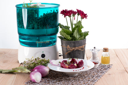 Seed sprouter automatic machine Germoglio